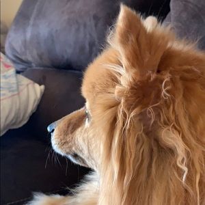 Meet your Posher, Mindy